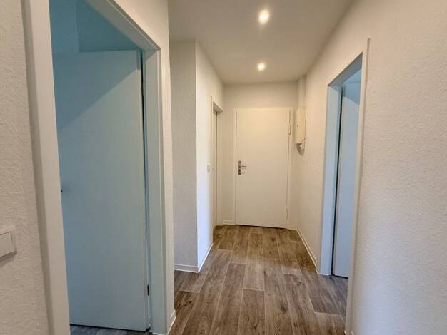 Wohnung zur Miete 328 € 3 Zimmer 57,8 m² 3. Geschoss frei ab 24.09.2026 Hölderlinstraße 11 Haselbrunn Plauen 08525