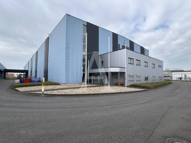 Halle/Industriefläche zur Miete provisionsfrei Niehl Nippes 50735