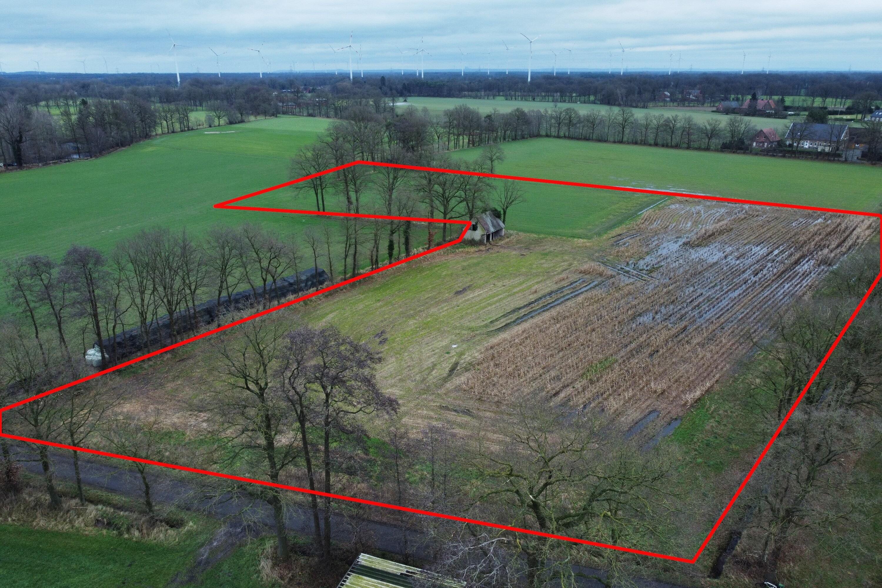 Land-/Forstwirtschaft zum Kauf 235.000 € 19.556 m²<br/>Grundstück Burgsteinfurt Steinfurt 48565