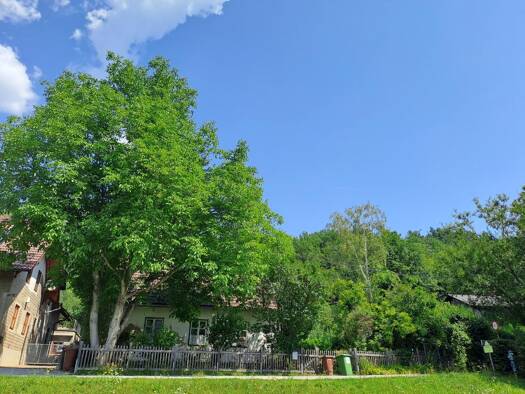 Einfamilienhaus zum Kauf 140.000 € 2 Zimmer 40 m² 421 m² Grundstück Payerbach 2650