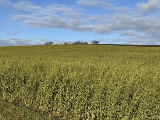 Land-/Forstwirtschaft zum Kauf 890.892 € 49.494 m² Grundstück Moosberg Weng / Hinzlbach 84187