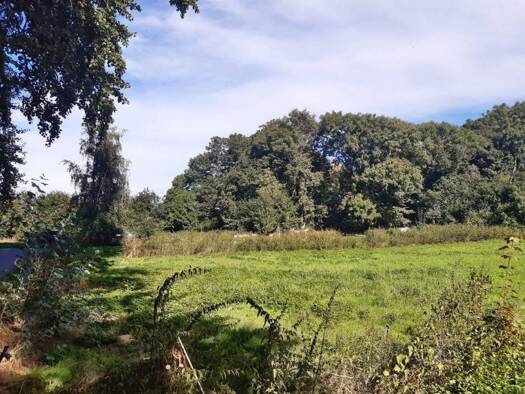 Grundstück zum Kauf 120.000 € 2.632 m² Grundstück Poggenhof Poggenhof Schaprode 18569