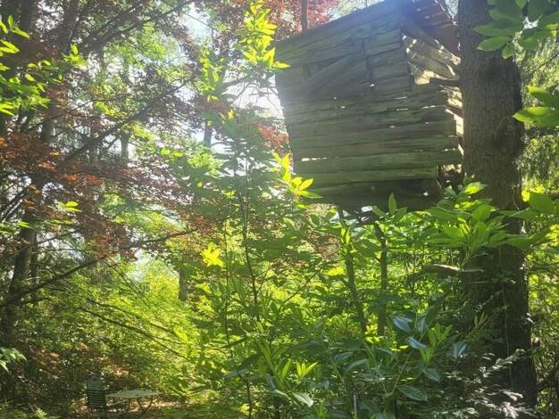 Grundstück zum Kauf 130.000 € 667 m² Grundstück Trippstadt 67705