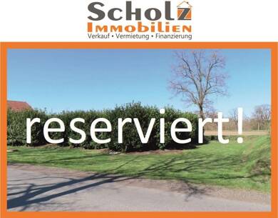 Grundstück zum Kauf 134.000 € 1.046 m² Grundstück Mollberg Wiefelstede 26215