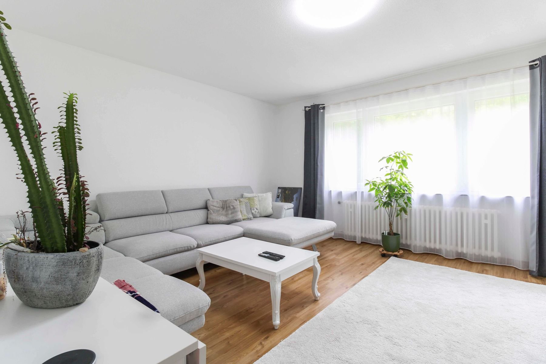 Immobilie zum Kauf als Kapitalanlage geeignet 149.000 € 3 Zimmer 64 m²<br/>Fläche Meßstetten Meßstetten 72469