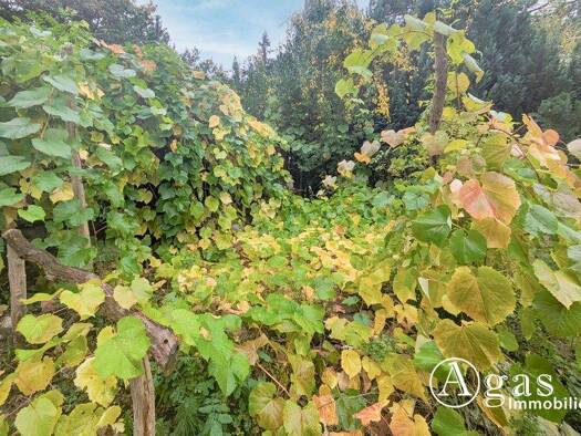 Grundstück zum Kauf 159.000 € 812 m² Grundstück Kagel 15537