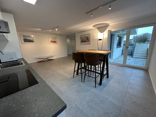 Wohnung zur Miete 1.150 € 2,5 Zimmer 70 m² frei ab sofort Untereisesheim 74257