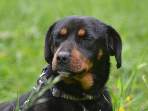 Terrassenwohnung zur Miete 1.240 € 3 Zimmer 99 m² 1. Geschoss Kochel Kochel am See 82431