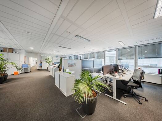 Bürofläche zur Miete 16,50 € 1.565 m² Bürofläche Heiligenstädter Straße "SKYLINE" 31 Wien 1190