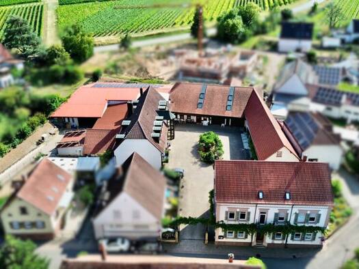 Haus zum Kauf 19 Zimmer 680 m² 3.115 m² Grundstück Ilbesheim bei Landau in der Pfalz 76831