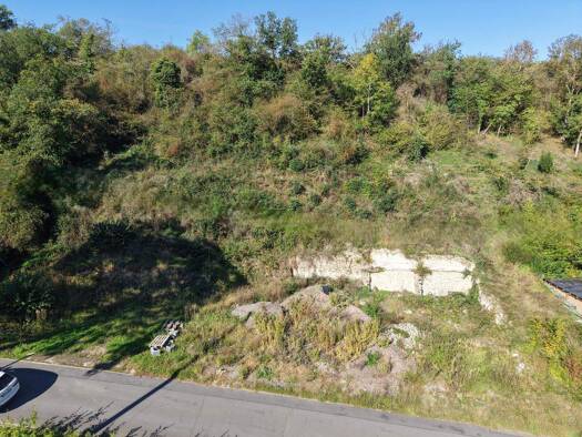 Grundstück zum Kauf 99.000 € 950 m² Grundstück Polch 56751