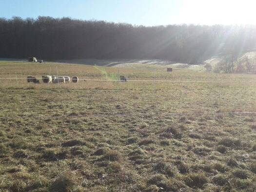 Haus zum Kauf provisionsfrei 400.000 € 6 Zimmer 260 m² 1.700 m² Grundstück Wallernhausen Nidda Wallernhausen 63667