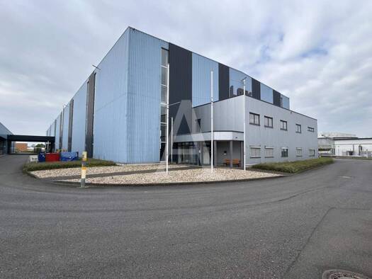 Halle/Industriefläche zur Miete provisionsfrei 5.685 m² Lagerfläche teilbar ab 5.685 m² Niehl Köln 50735