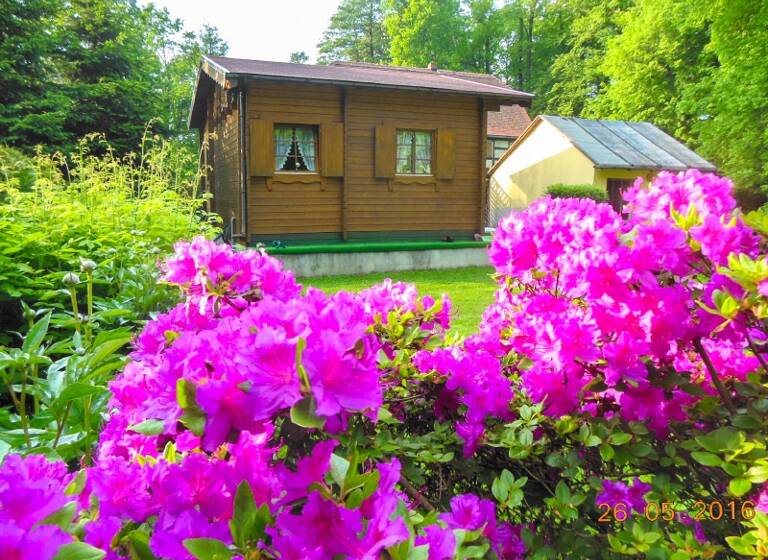 Bungalow zum Kauf 85.000 € 2 Zimmer 24 m²<br/>Wohnfläche 2.431 m²<br/>Grundstück Großharthau Großharthau 01909
