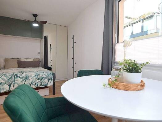 Studio zur Miete Wohnen auf Zeit 1.050 € 1 Zimmer 22 m² frei ab sofort St Johannis Nürnberg 90419