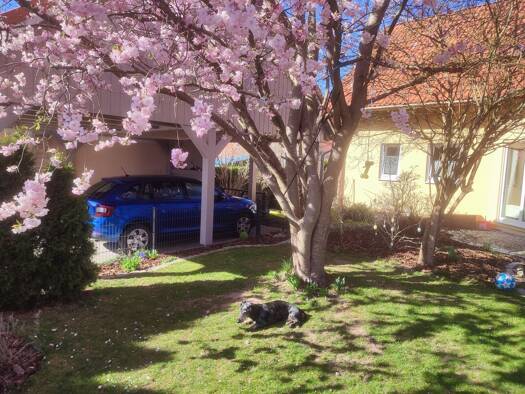 Einfamilienhaus zum Kauf provisionsfrei 519.000 € 5 Zimmer 124 m² 597 m² Grundstück Weidig 7 Weidenberg 95466