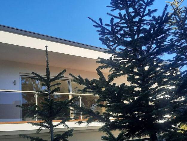 Loft zur Miete 1.750 € 5 Zimmer 140 m² 1. Geschoss Niedermittlau Hasselroth 63594