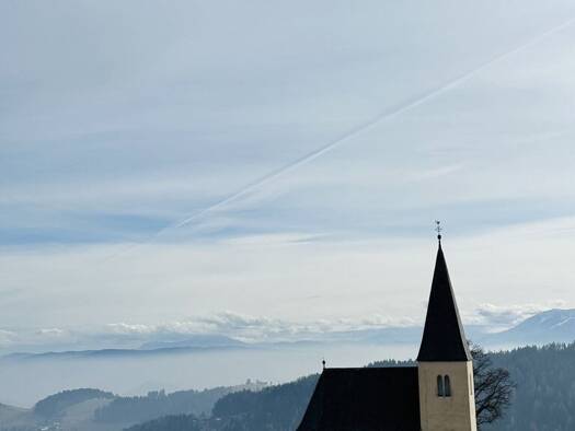 Haus zum Kauf 1.100 m² Grundstück Griffen 9112