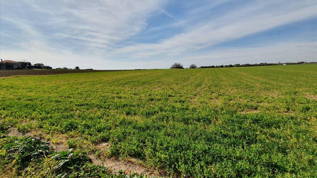 Land-/Forstwirtschaft zum Kauf 450.000 € 20.000 m² Grundstück Chalkidiki