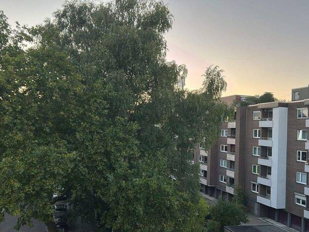 Wohnung zur Miete 580 € 3,5 Zimmer 83 m² 3. Geschoss Borgmannshof 32 Bulmke-Hüllen Gelsenkirchen 45888