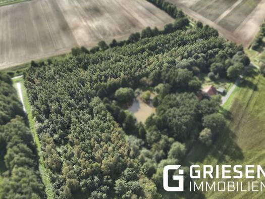 Land-/Forstwirtschaft zum Kauf 72.500 € 27.470 m² Grundstück Haren Haren (Ems) 49733