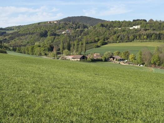 Land-/Forstwirtschaft zum Kauf 210.365 m² Grundstück Bernstein 7434