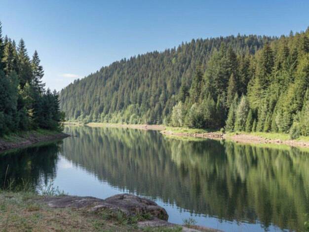 Wohnung zur Miete 470 € 2 Zimmer 62 m² 2. Geschoss frei ab 01.05.2026 Am Stockweg 5 Dümmlinghausen Gummersbach 51645