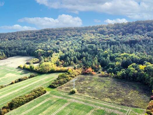 Grundstück zum Kauf 30.000 € 45.857 m² Grundstück Niedergebra 99759