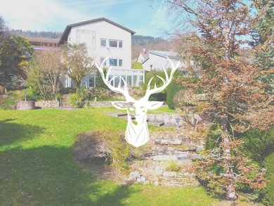 Villa zum Kauf 1.090.000 € 7,5 Zimmer 276 m² 2.008 m² Grundstück Bad Säckingen Bad Säckingen 79713