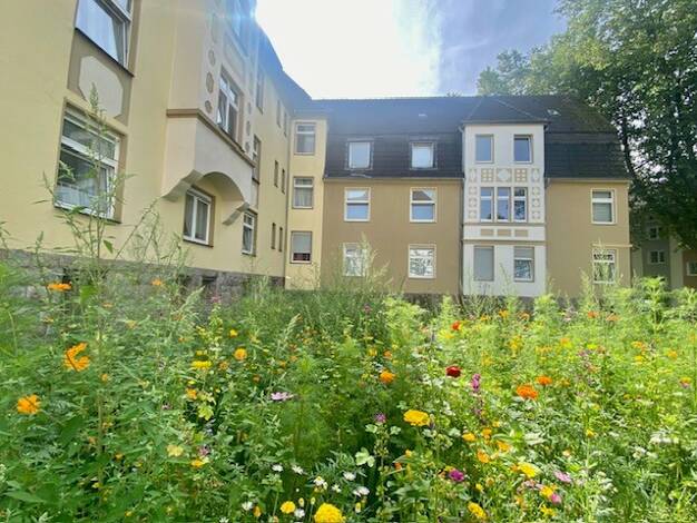 Wohnung zur Miete 683 € 2 Zimmer 65 m² 1. Geschoss frei ab 30.08.2025 Zwinglistr. 8 Nordviertel Essen 45141