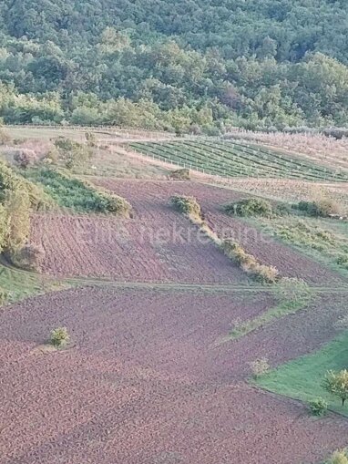 Land-/Forstwirtschaft zum Kauf 55.000 € Draguc