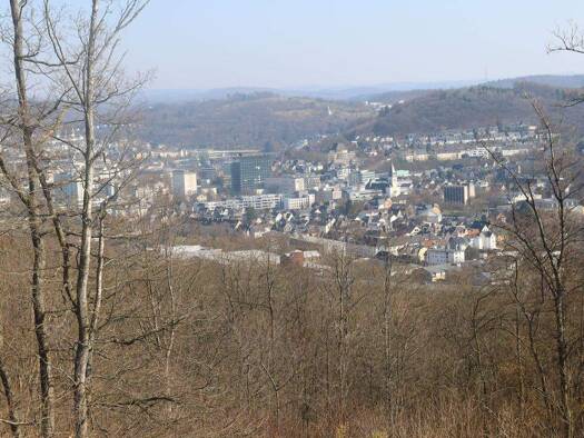 Grundstück zum Kauf 560.000 € 1.533 m² Grundstück Baugenehmigung vorhanden Am Witschert Siegen Siegen 57072