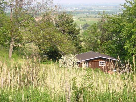 Haus zum Kauf 299.999 € 1 Zimmer 25 m² 2.809 m² Grundstück Wien 1210