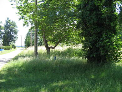 Grundstück zum Kauf provisionsfrei 1.830 m² Grundstück Uhsmannsdorfer Straße Horka Horka 02923