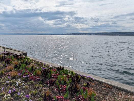 Wohnung zum Kauf 449.000 € 2 Zimmer 56 m² 1. Geschoss Überlingen 88662