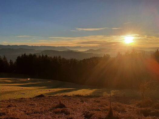 Bauernhof zum Kauf 999.000 € 30.000 m² Grundstück Niederwinkel Waldenburg , Sachs 08396