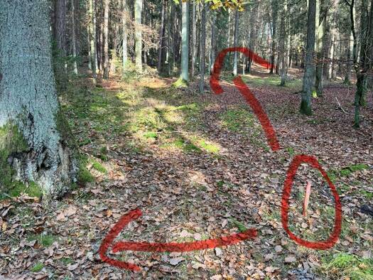 Grundstück zum Kauf provisionsfrei 23.595 € 4.290 m² Grundstück Altdorf Altdorf bei Nürnberg 90518