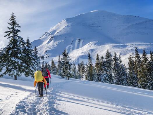 Freizeitgrundstück zum Kauf 690.000 € 1.108 m² Grundstück Aigen / Sankt Oswald 9546