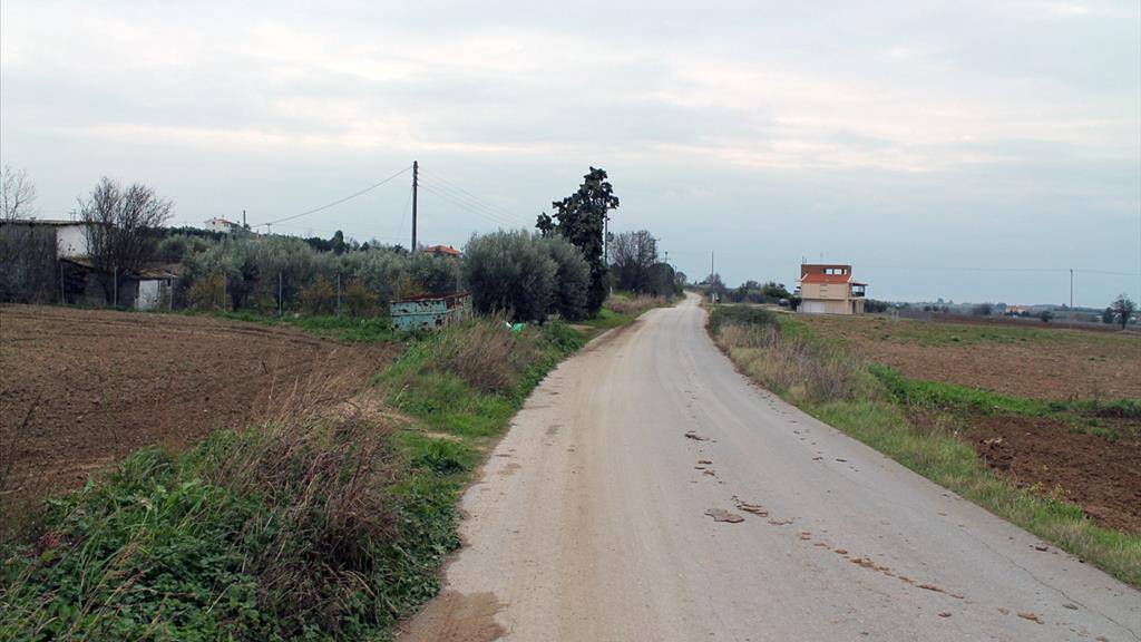 Land-/Forstwirtschaft zum Kauf 3.000.000 € 100.856 m² Grundstück Thessaloniki