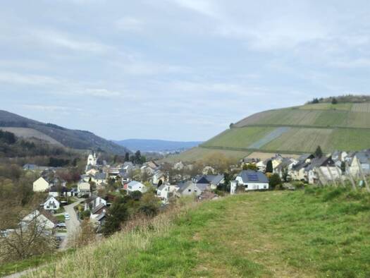 Reihenendhaus zum Kauf 5 Zimmer 143 m² 205 m² Grundstück Kasel 54317