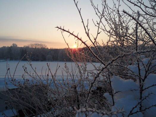 Einfamilienhaus zum Kauf provisionsfrei 459.990 € 5 Zimmer 142 m² 879 m² Grundstück Altmittweida 09648