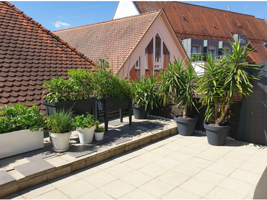 Penthouse zur Miete 1.464 € 5 Zimmer 202 m² 2. Geschoss frei ab 01.07.2026 Spitalstraße 10 Ellwangen Ellwangen (Jagst) 73479