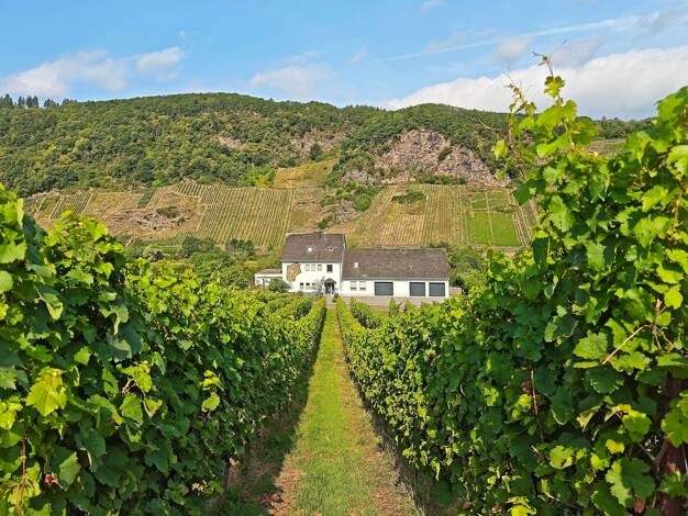 Haus zum Kauf 570.000 € 10 Zimmer 315 m² 3.850 m² Grundstück Burg (Mosel) 56843