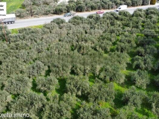 Land-/Forstwirtschaft zum Kauf 850.000 € 13.000 m² Grundstück Municipality of Festos 704 00