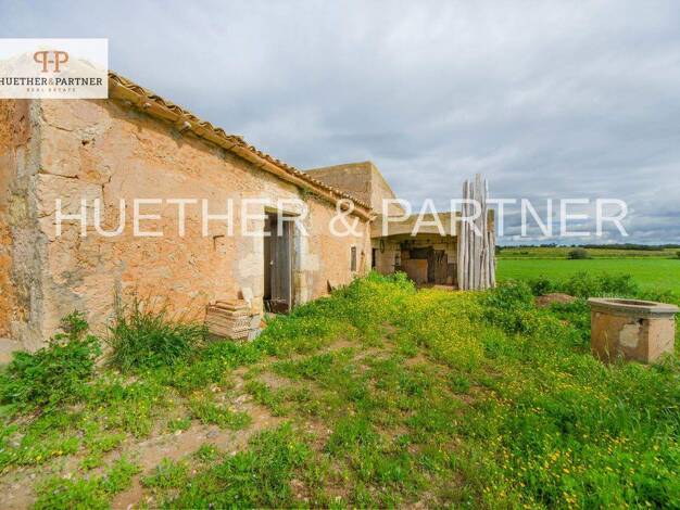 Landhaus zum Kauf 315.000 € 3 Zimmer 60 m² 14.720 m² Grundstück Manacor 07500