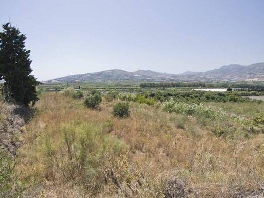 Bauernhaus zum Kauf 100.000 € 1 Zimmer 7.770 m² Pago Magdalite, parque Puntal de Jariz Motril 18600