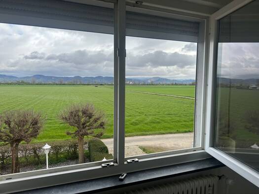 WG-Zimmer zur Miete 1.350 € 4 Zimmer 120 m² Geschoss 1/2 frei ab 15.05.2026 Am Pariser Weg 16 Viernheim 68519