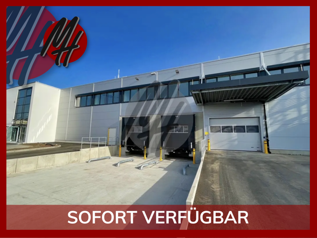 Halle/Industriefläche zur Miete 3.000 m² Lagerfläche teilbar ab 1.200 m² Hattersheim 65795