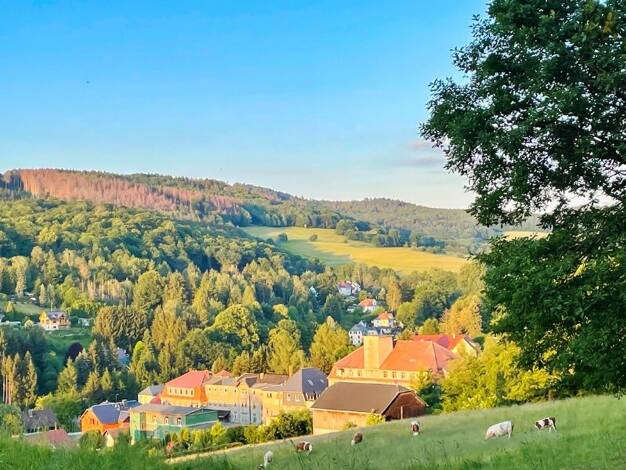 Mehrfamilienhaus zum Kauf 85.000 € 15 Zimmer 381 m² 600 m² Grundstück Sebnitz Sebnitz 01855