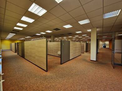 Bürofläche zum Kauf als Kapitalanlage geeignet 1.950.000 € 116 Zimmer 3.900 m² Burgstraße 34 Döbeln Döbeln 04720
